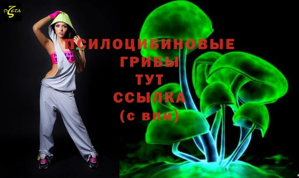 mdpv Мегион