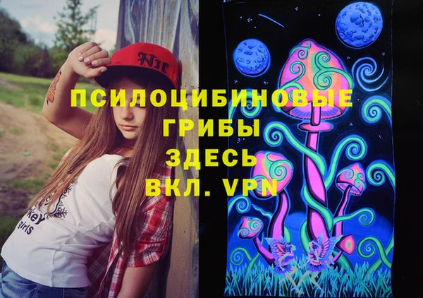 шишки Абдулино