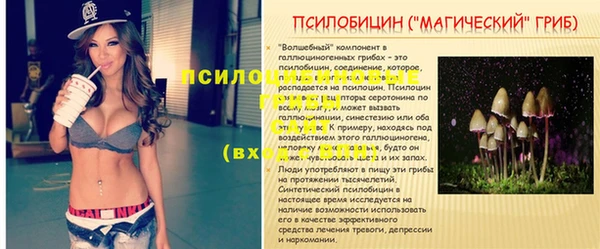 шишки Абдулино
