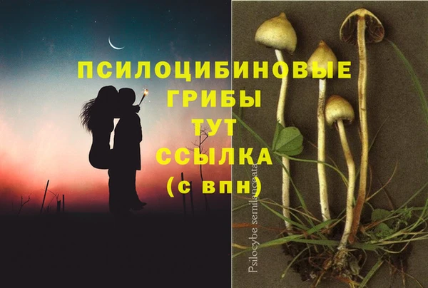шишки Абдулино
