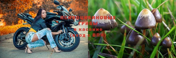 шишки Абдулино