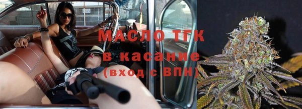 стаф Медногорск